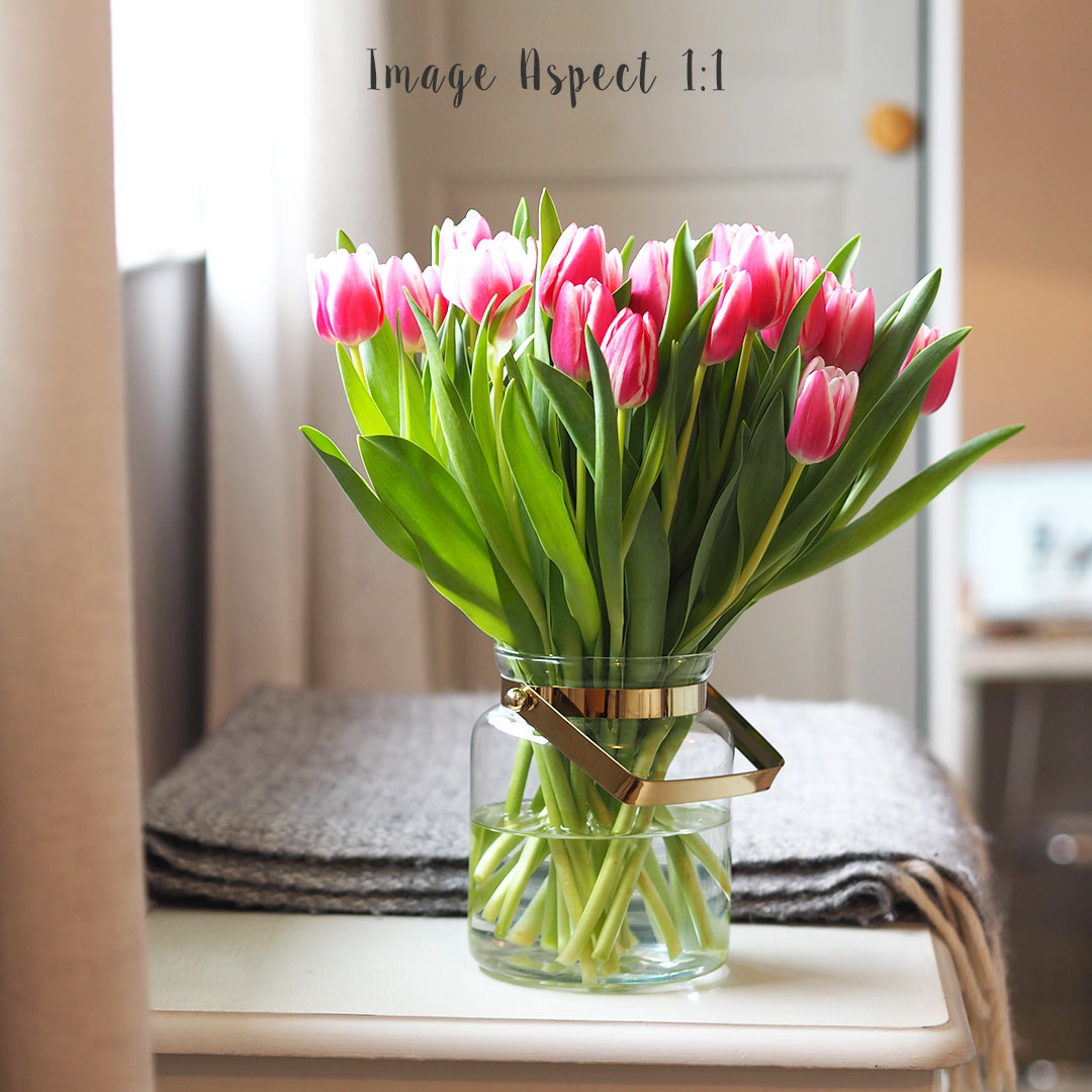Olympus E-PL7 Review Image Aspect 1:1