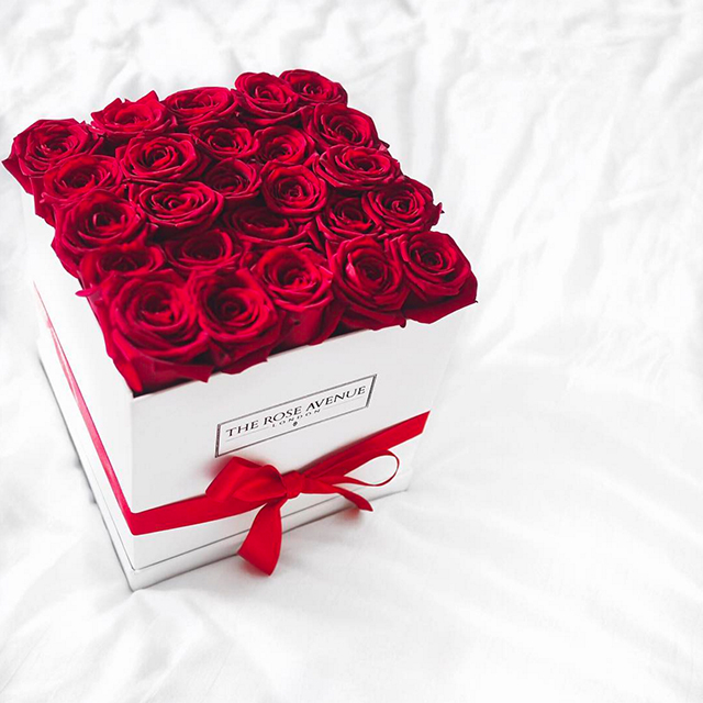 the rose avenue RED BOX