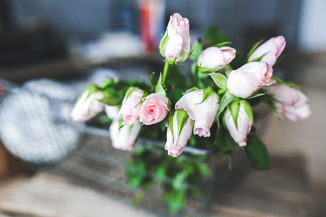 valentines day gift guide