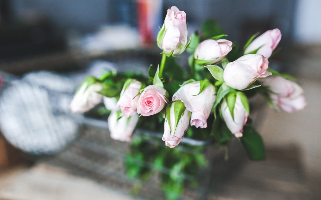Valentine’s Day Gift Guide