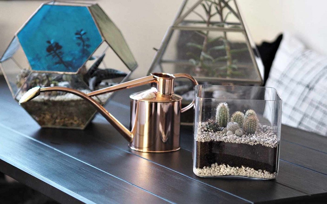DIY – TERRARIUM