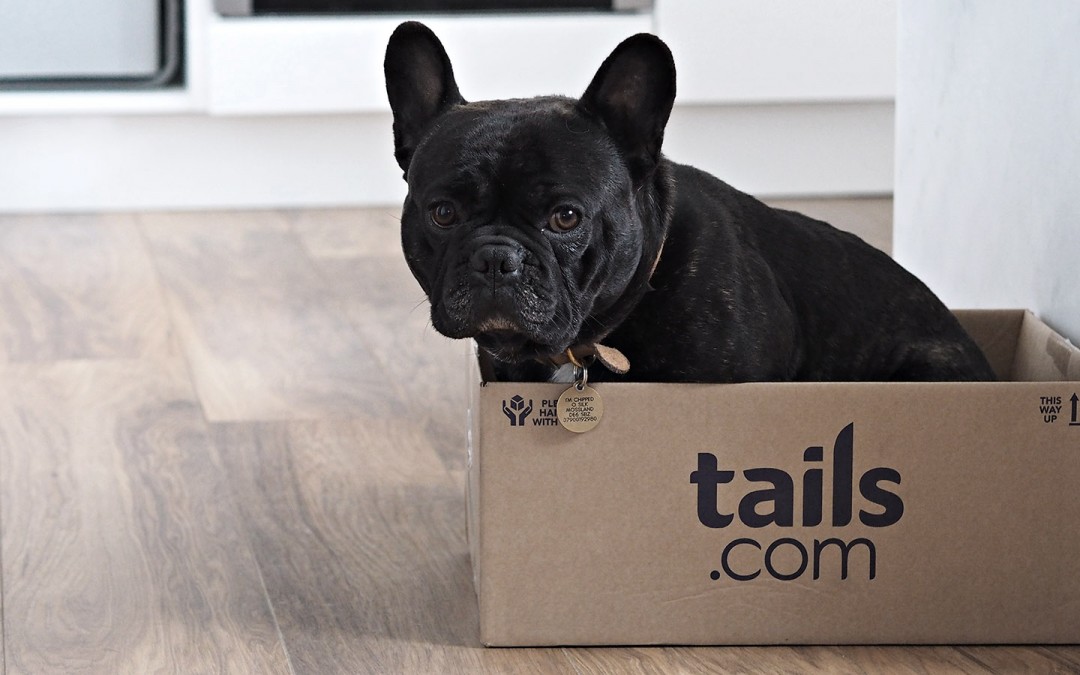 Tails.com Tailor Made Kibble Review
