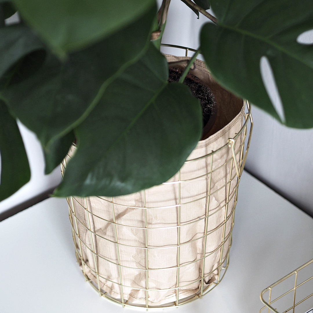gold wire basket