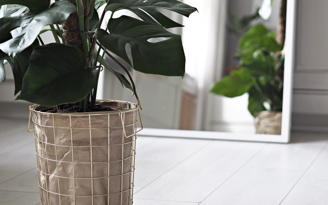 5 Scandi Storage Solutions