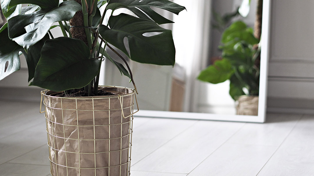 Scandi storage solutions