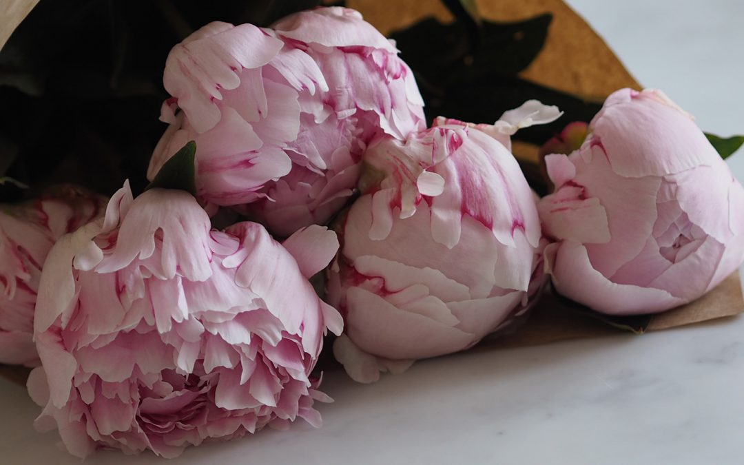 Amara Interior Blog Awards 2016 Nomination