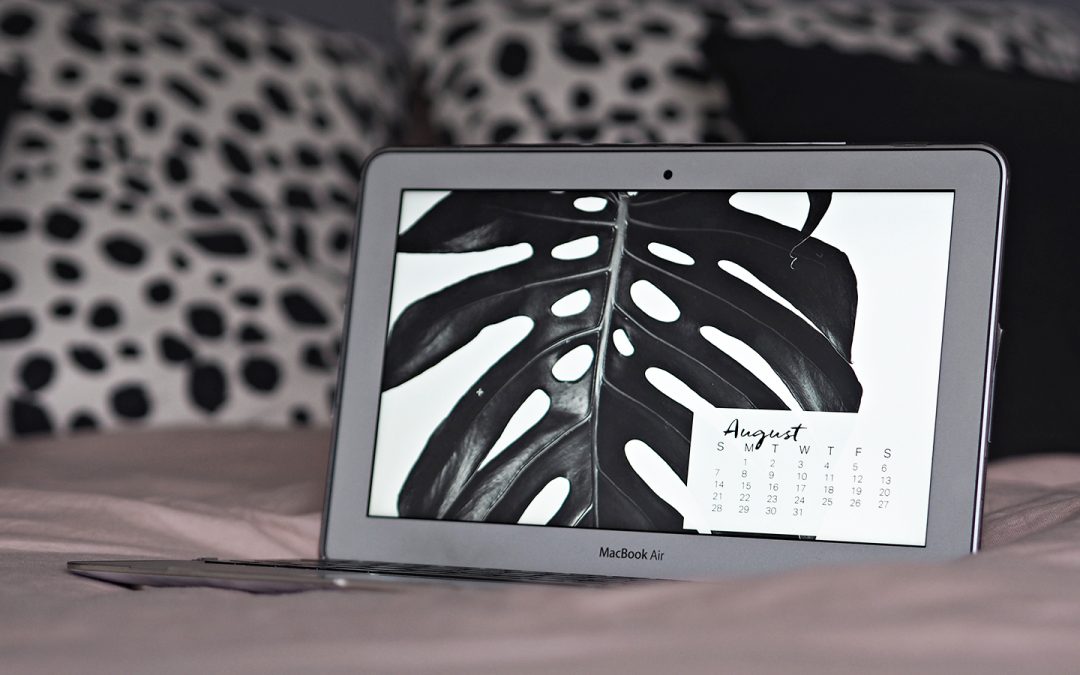 Download Monstera Desktop Screensaver Calendar