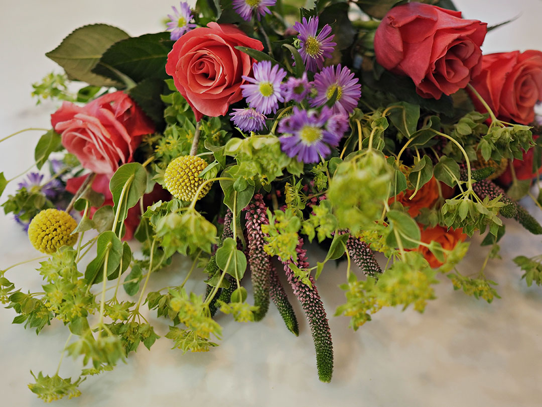Bloom and Wild Flowers