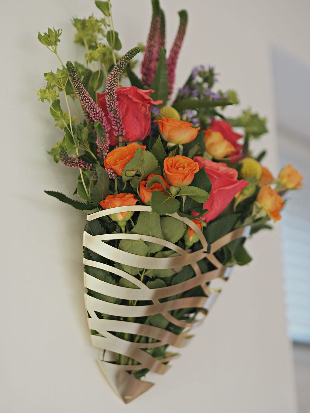 Bloom and Wild Flowers