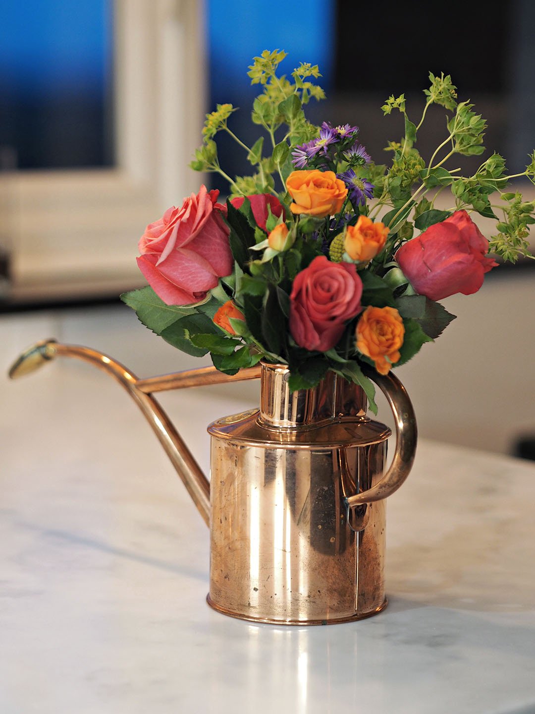 Bloom and Wild Flowers