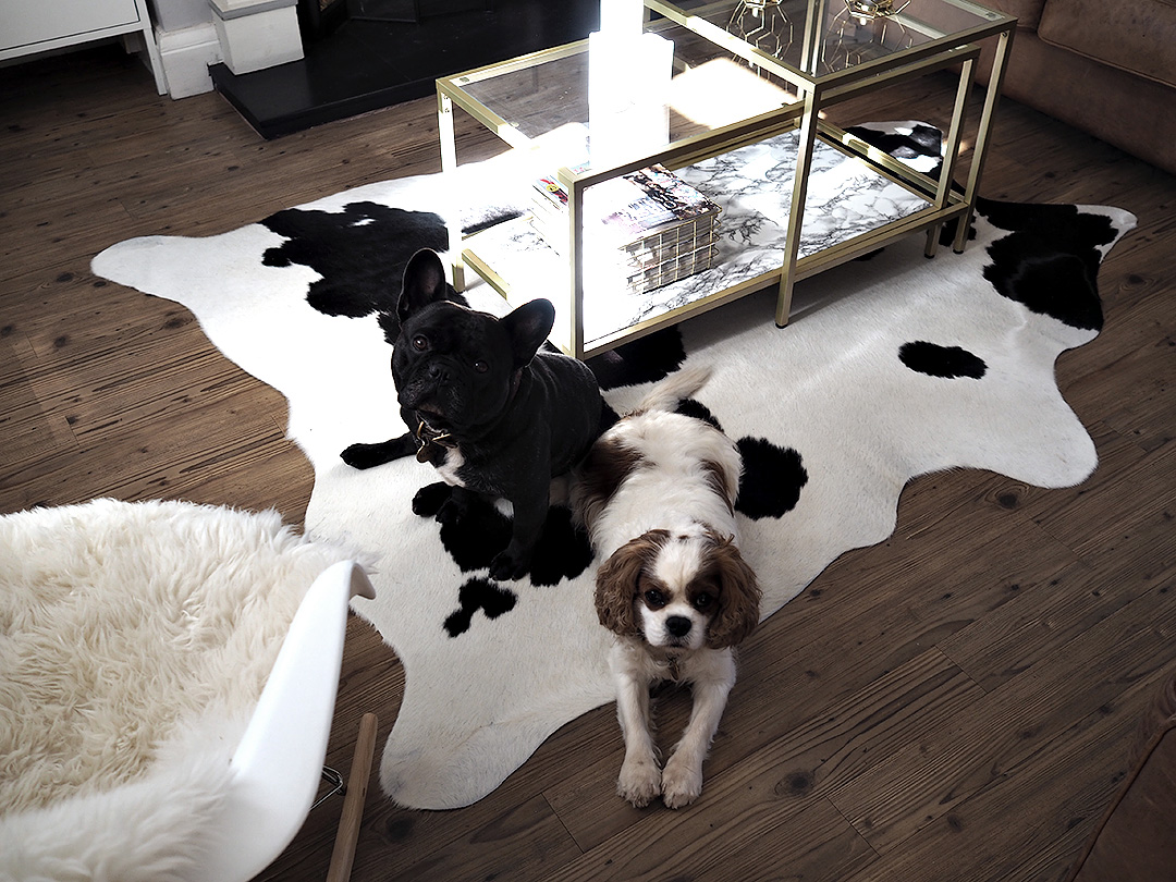 cow hide rug