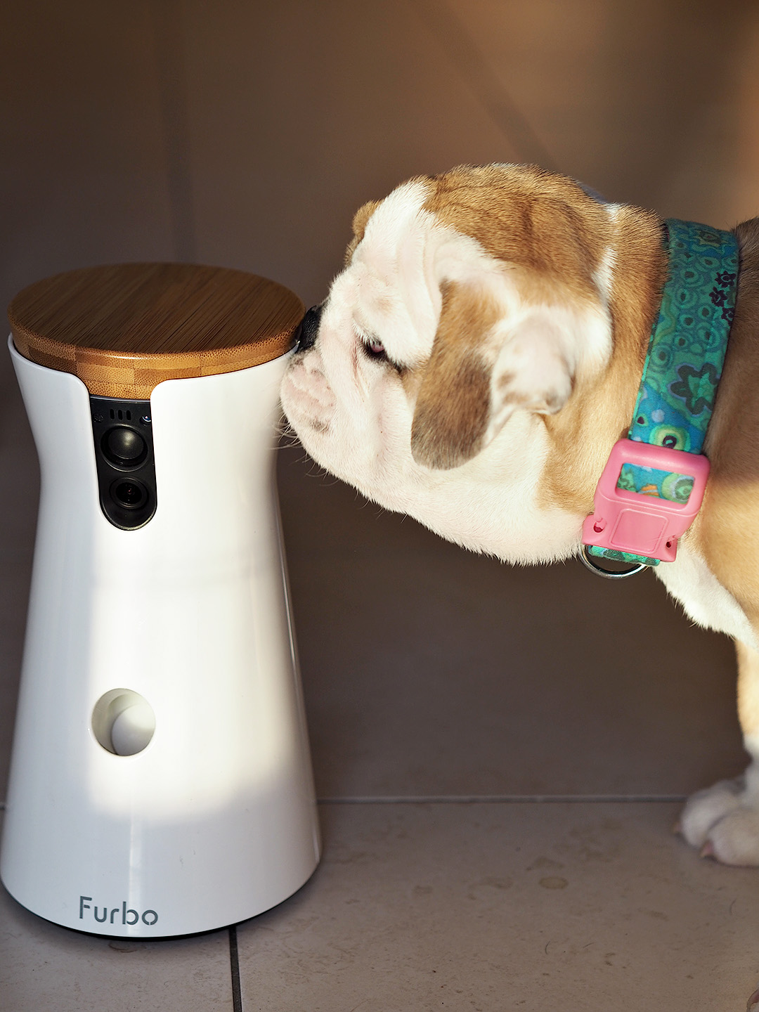 Furbo Dog Camera