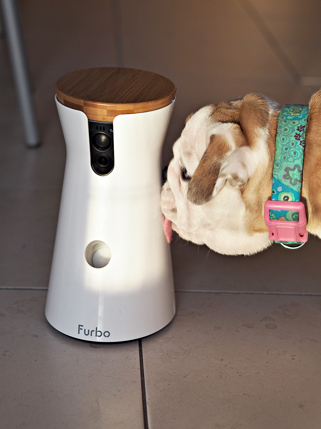Furbo Dog Camera