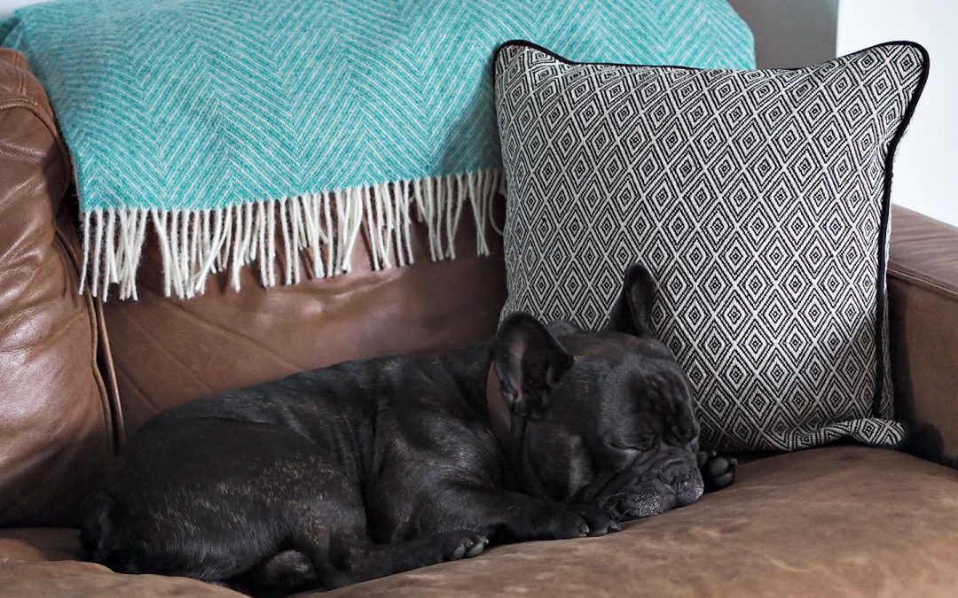 Matalan January Blogger of the Month