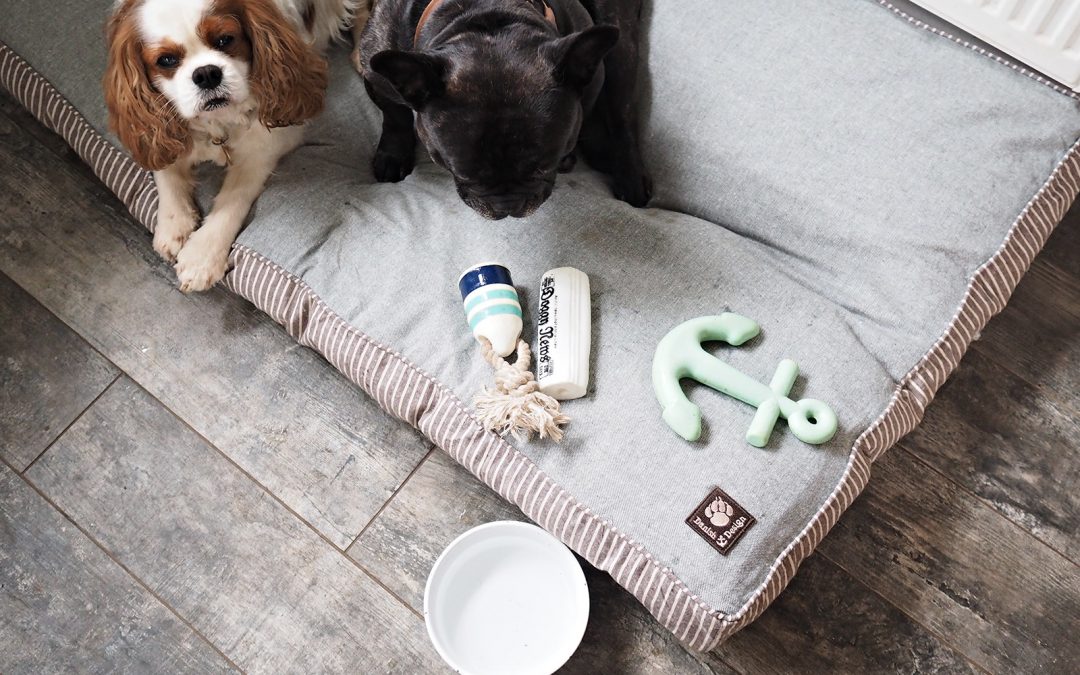 Danish Design for Dogs