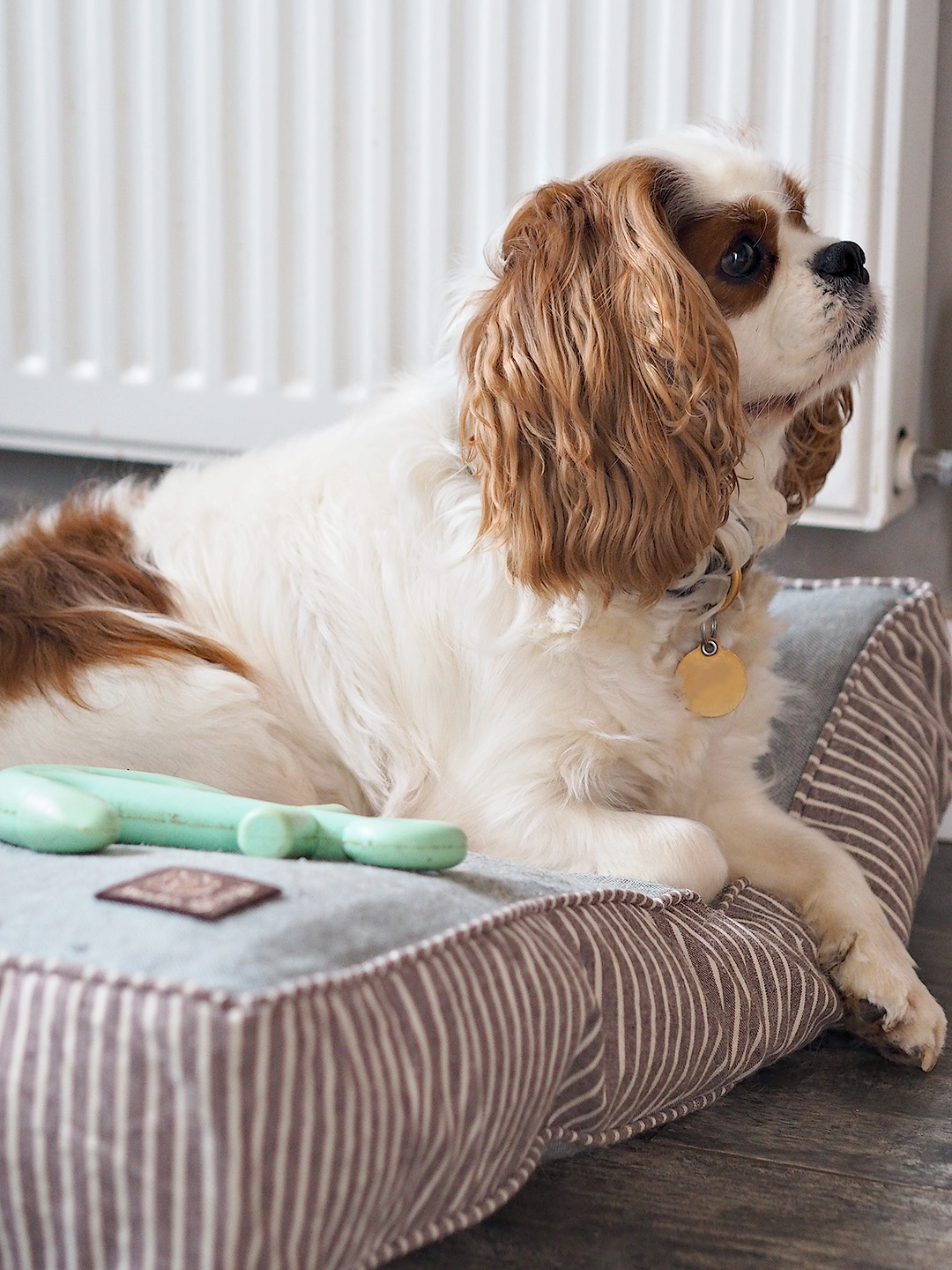 Danish Design Dog Bed