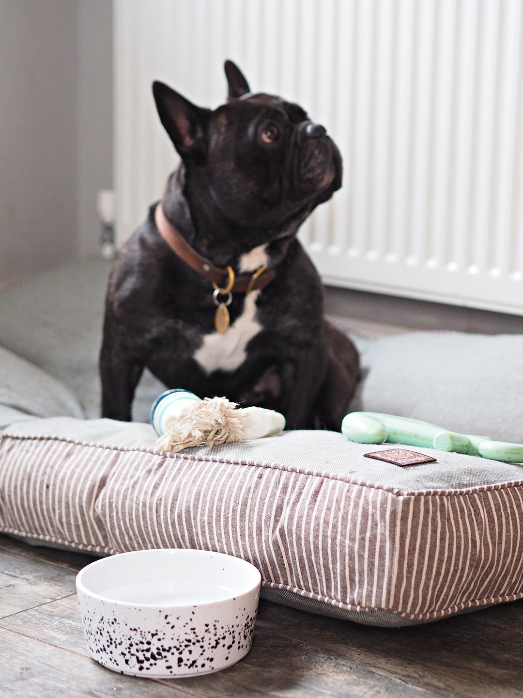 Danish Design Dog Bed