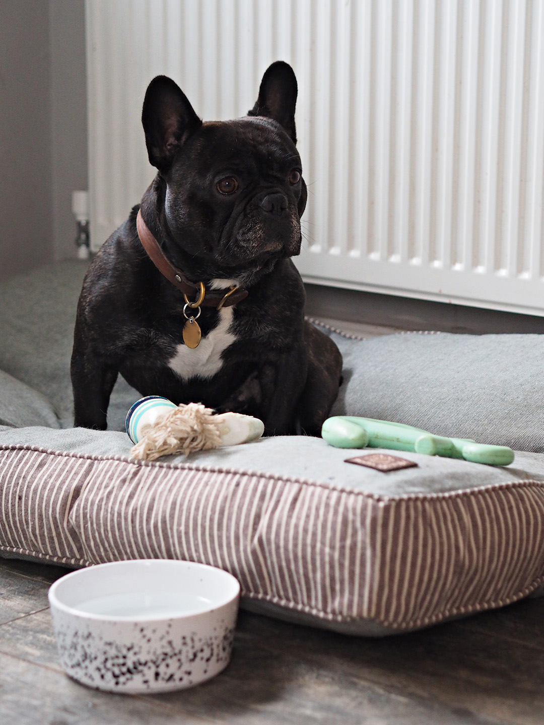 Danish Design Dog Bed