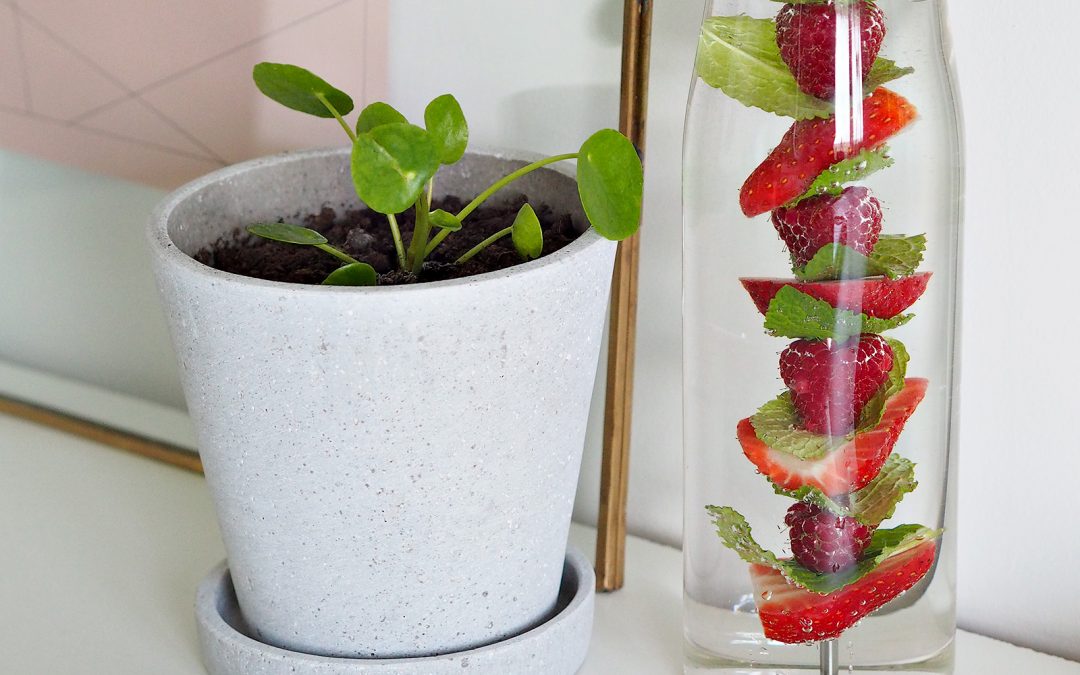 MyFlavour Fruit Infused Water