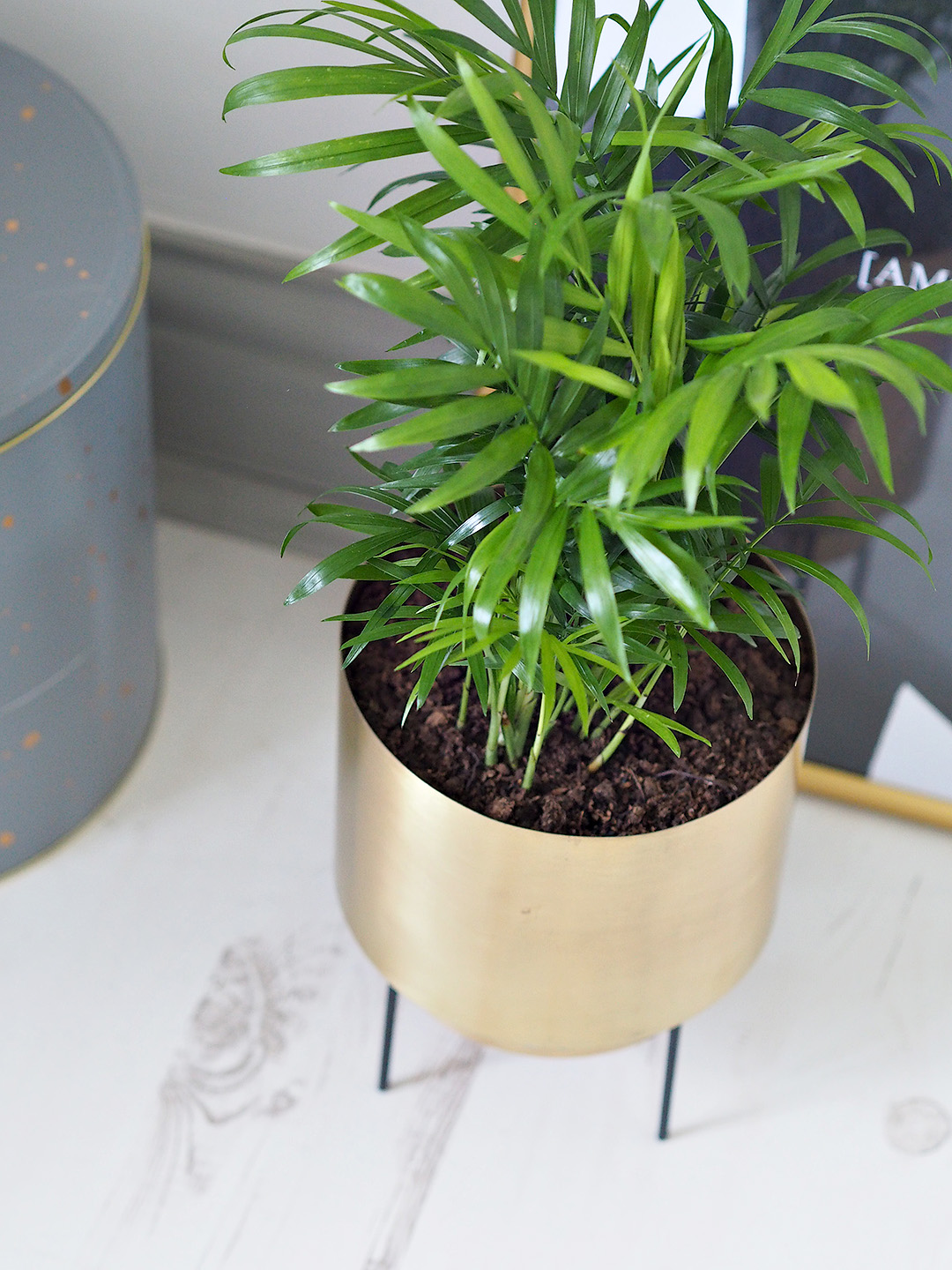 Urban Outfitters Home Haul