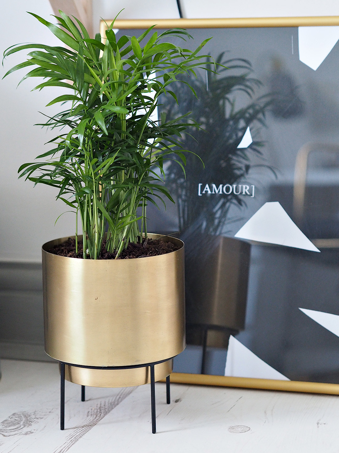 Urban Outfitters Home Haul