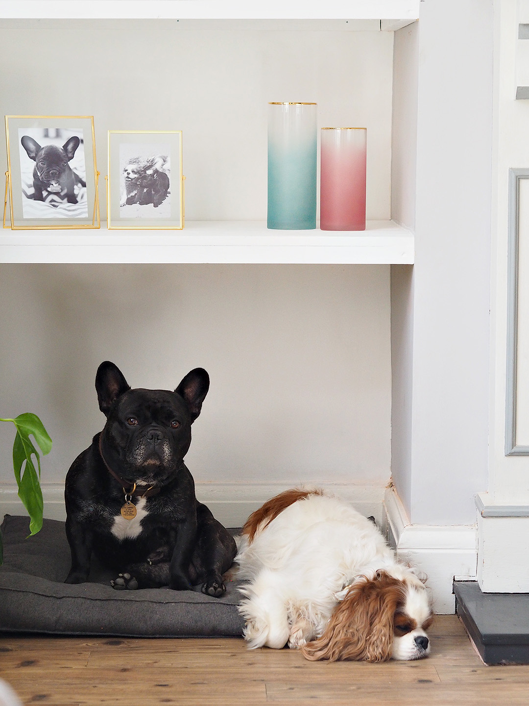 White Alcove Shelving