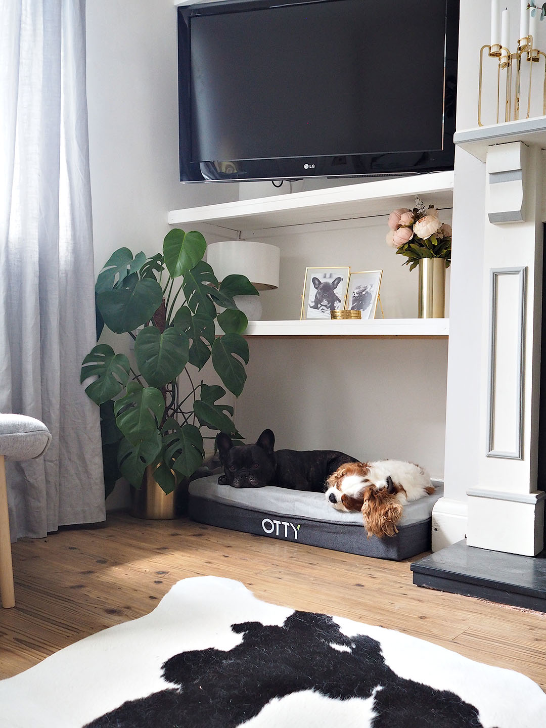 OTTY Dog Bed