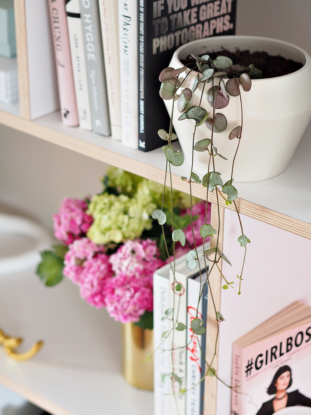 Easiest Indoor Plants To Keep Alive