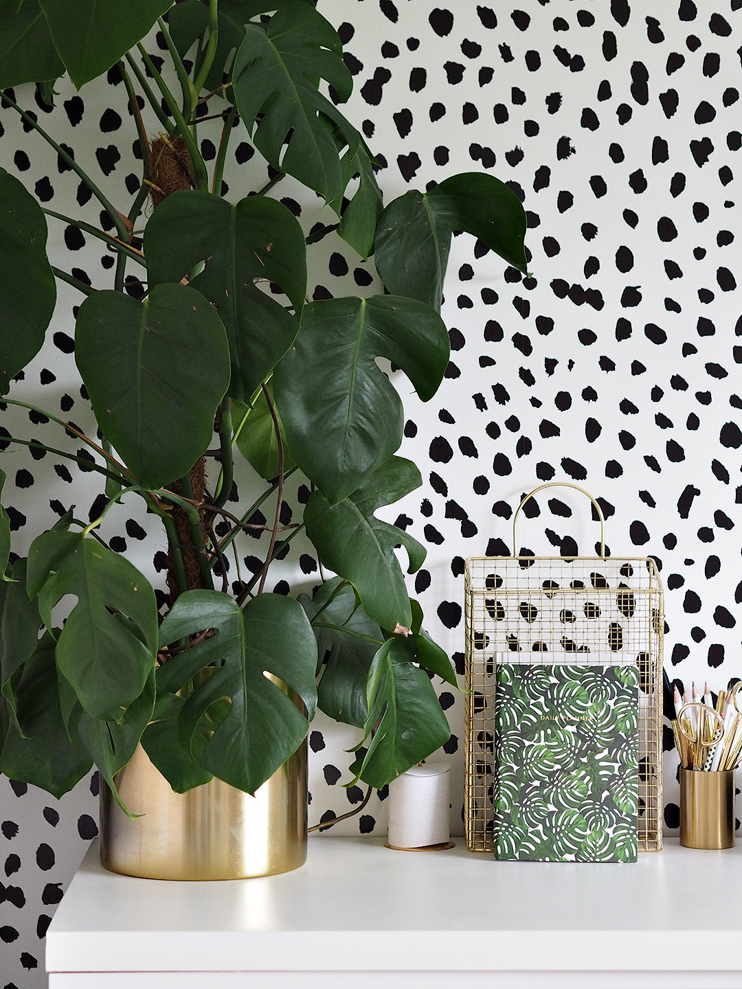 Easiest Indoor Plants To Keep Alive