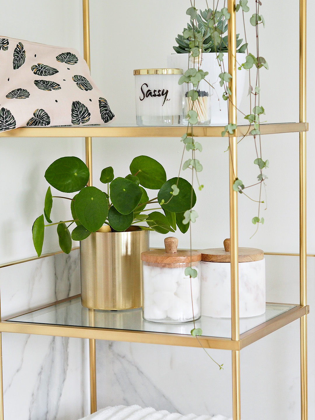 Easiest Indoor Plants To Keep Alive