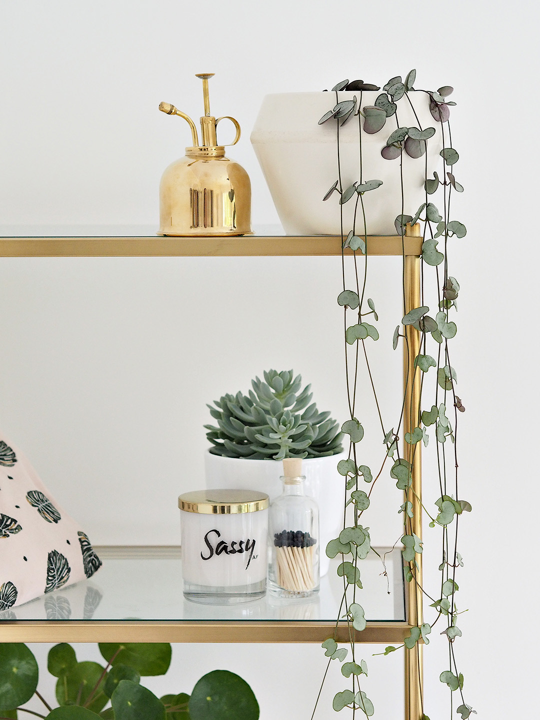 Easiest Indoor Plants To Keep Alive