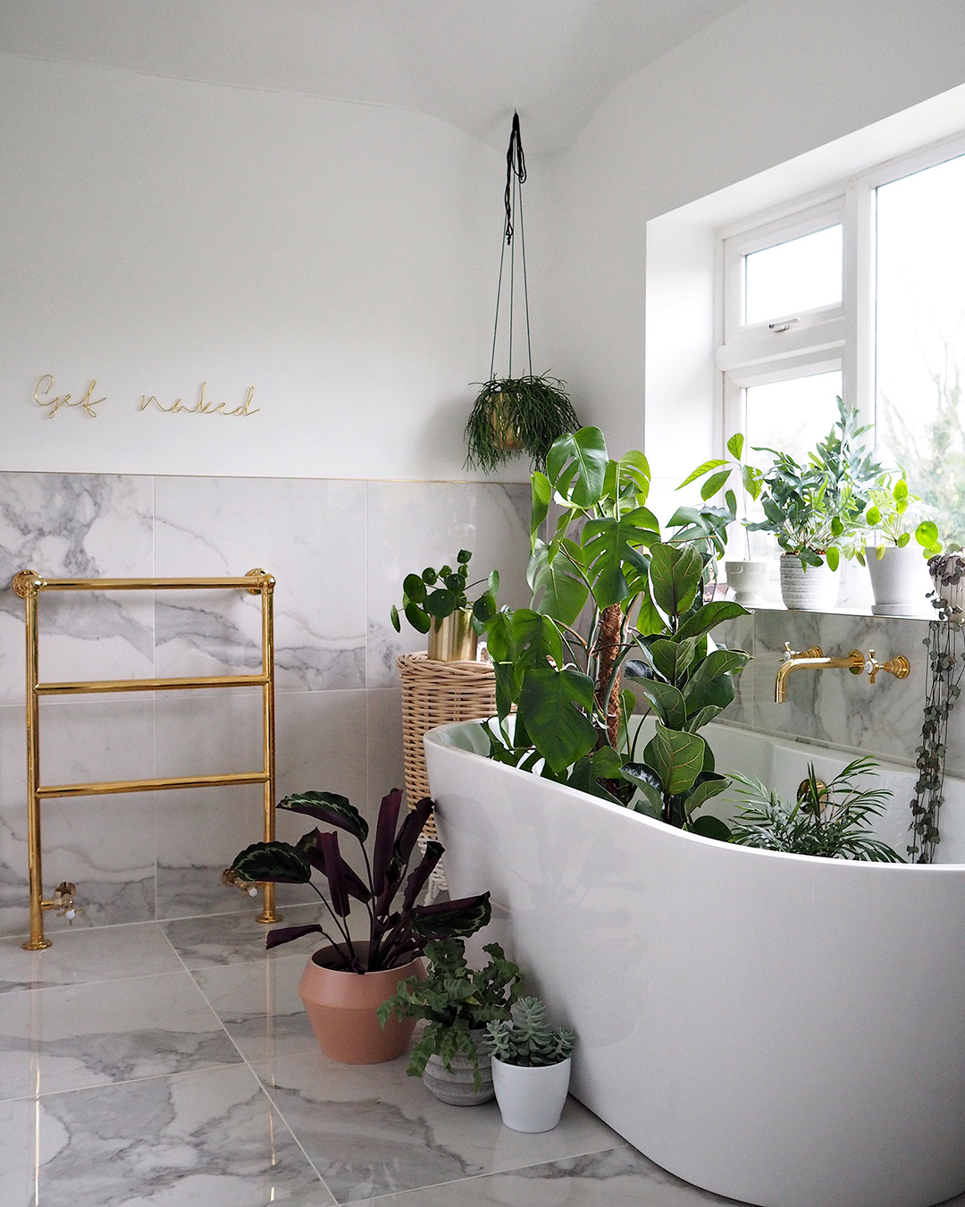 Easiest Indoor Plants To Keep Alive