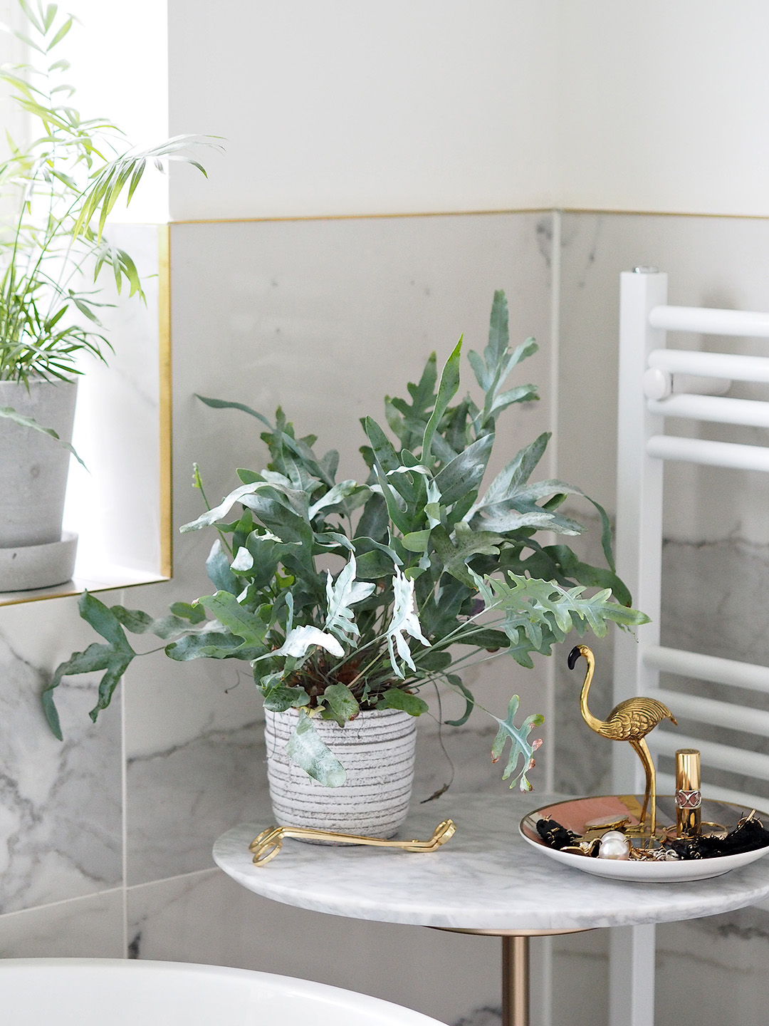 Easiest Indoor Plants To Keep Alive
