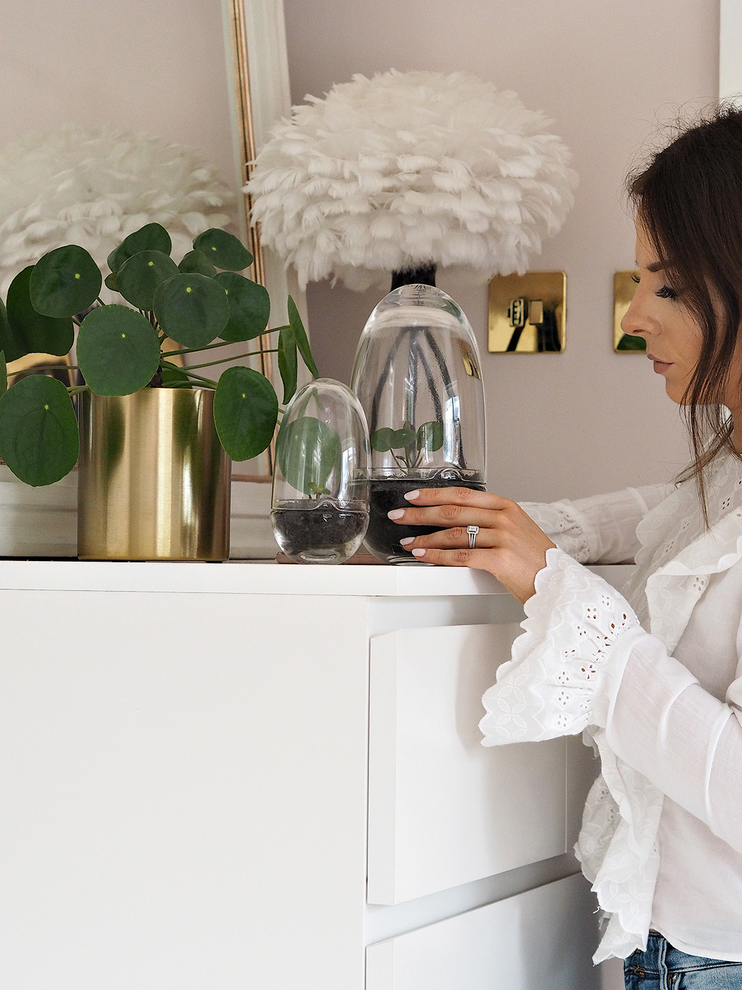 pilea propagation
