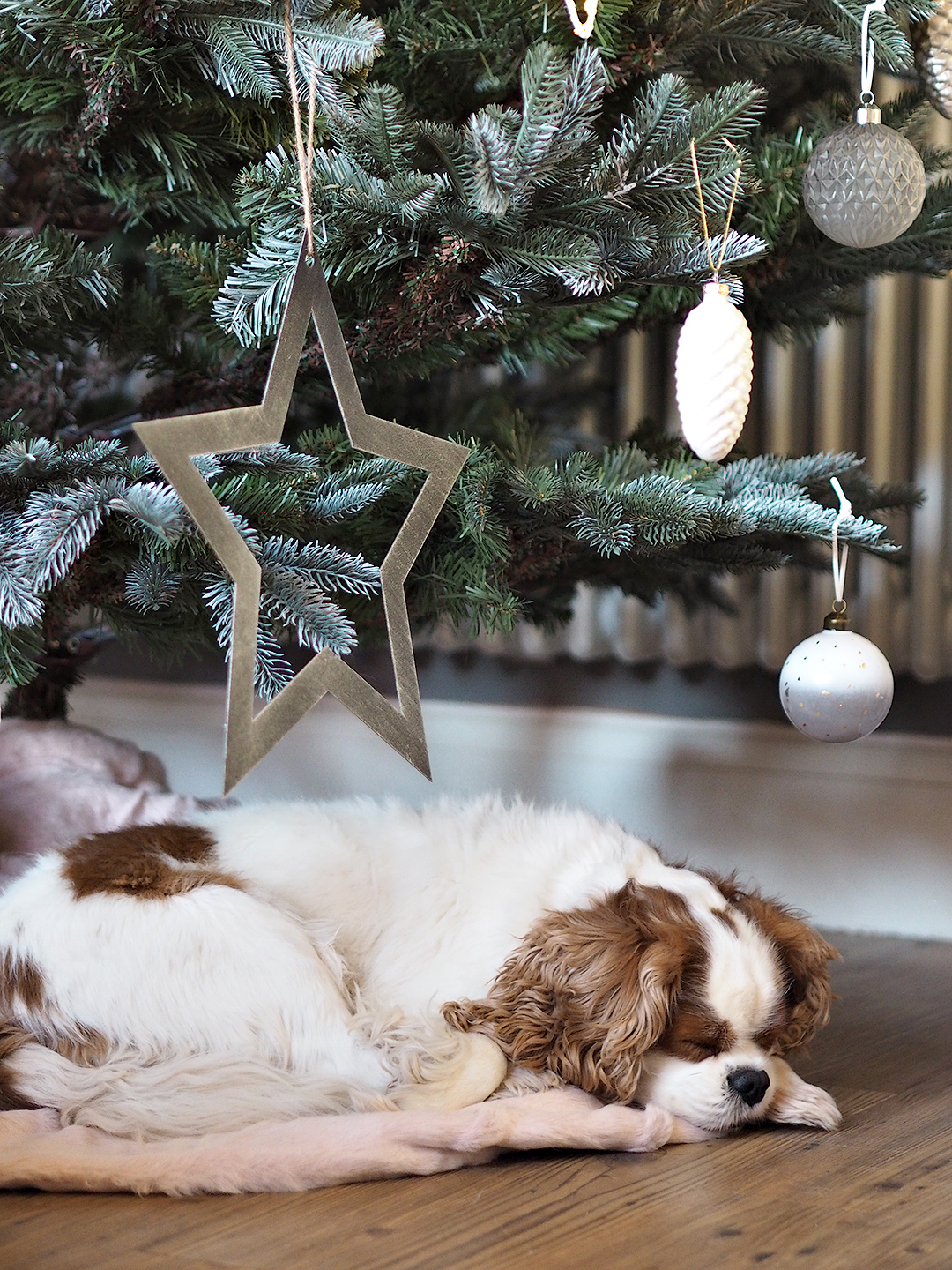 Cox & Cox Christmas Blush Scandi