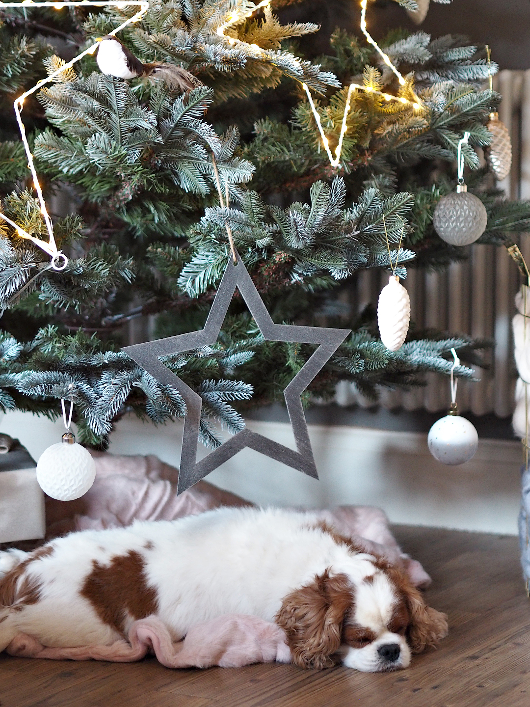 Cox & Cox Christmas Blush Scandi